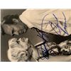Image 1 : Laugh In Carl Reiner and Goldie Hawn signed photo
