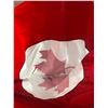 Image 3 : Lot of 2 Canada Flage Nylon Wind Socks