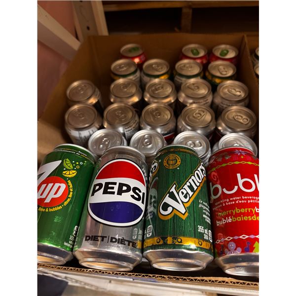 35 Single Cans of Assorted Sodas - Diet Pepsi - Vernors - Merry Buble - 355ml Each