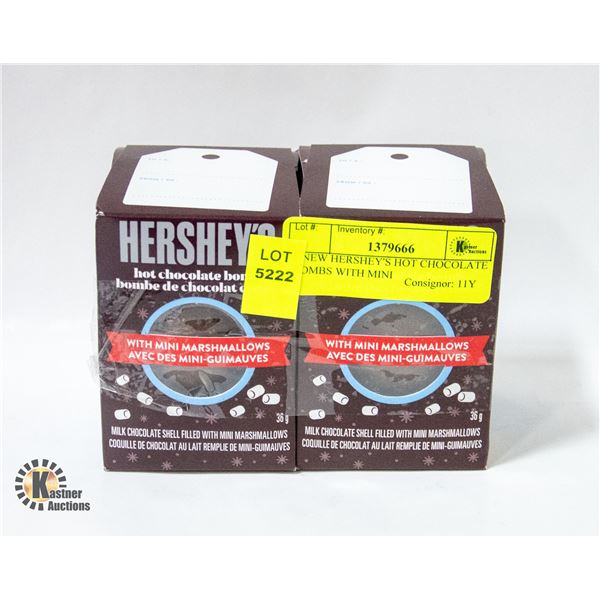 2 NEW HERSHEY'S HOT CHOCOLATE BOMBS WITH MINI
