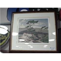 the White Pine Print By A.j. Casson