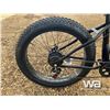 Image 13 : Electric Fat Tire Bicycle