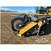 Image 20 : 2007 CHALLENGER SP115 25 FT. SWATHER