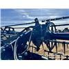 Image 22 : 2016 MACDON FD75-D 40 FT. DRAPER COMBINE HEADER