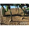 Image 9 : 1981 CO-OP 179  26 FT. FIELD CULTIVATOR