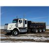 Image 1 : 2007 WESTERN STAR 4900SA TRI DRIVE DUMP TRUCK