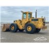 Image 4 : 1981 CAT 966D WHEEL LOADER