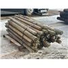 Image 3 : QTY OF FENCE POSTS
