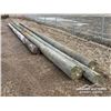 Image 1 : (4) POWER POLES