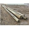 Image 3 : (4) POWER POLES