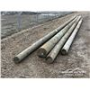 Image 4 : (4) POWER POLES