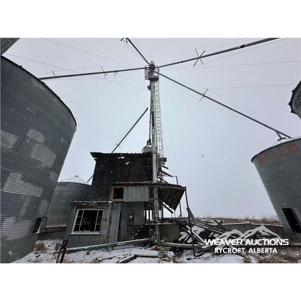 GRAIN LEG & (7) FLAT BOTTOM GRAIN BINS