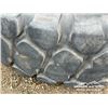 Image 8 : 18.00R25 TIRE & RIM