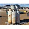 Image 1 : PALLET OF PROPANE TANKS