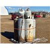 Image 2 : PALLET OF PROPANE TANKS