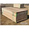 Image 1 : (40) 3/4 IN 4 X 8 FT. CSP PLYWOOD
