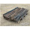 Image 2 : (14) BUNDLES OF STEEL T-POSTS