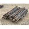 Image 2 : (16) BUNDLES OF STEEL T-POSTS