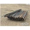 Image 4 : (15) BUNDLES OF STEEL T-POSTS