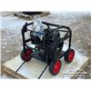 Image 3 : 2900 PSI PRESSURE WASHER