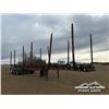 Image 2 : 2013 BWS 50LF4X3T TRIDEM LOG TRAILER