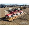 Image 2 : 2008 KASSHOHRER MULTIFLEXFRASE HYD. SNOWGROOMER