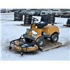 Image 1 : STINGA PARK PRO 18 ARTICULATING LAWN MOWER