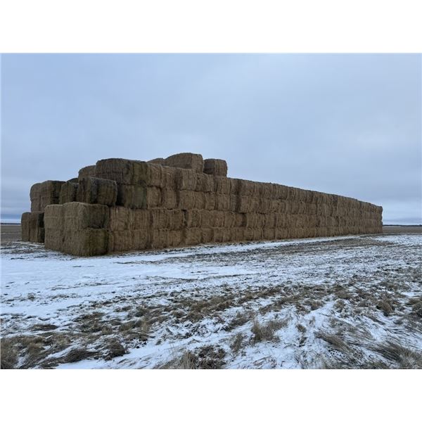 (30) 2024 FESCUE 4 X 8 STRAW SQUARE BALES