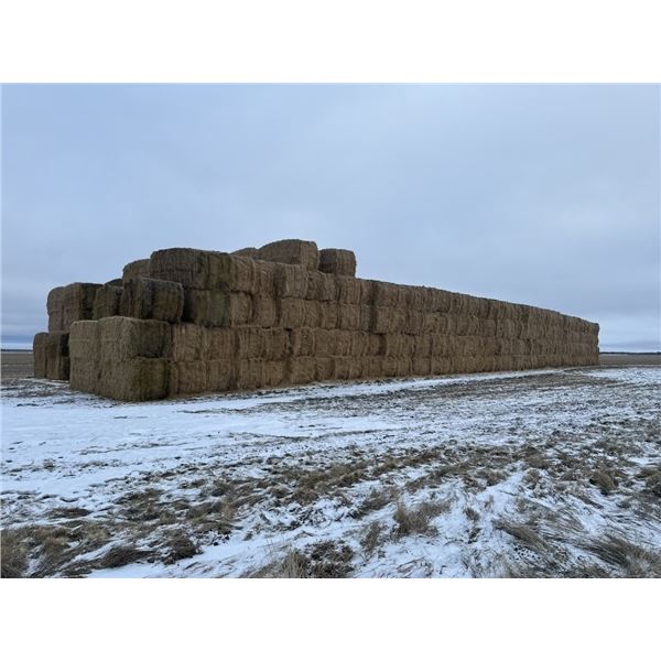 (30) 2024 FESCUE 4 X 8 STRAW SQUARE BALES