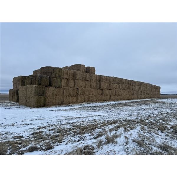 (30) 2024 FESCUE 4 X 8 STRAW SQUARE BALES