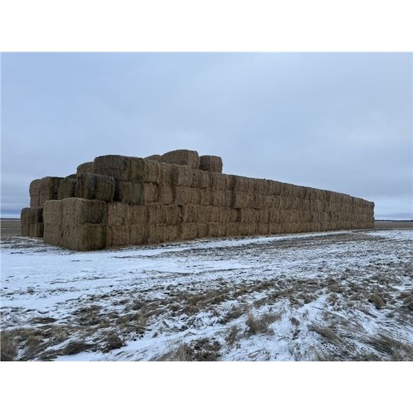 (30) 2024 FESCUE 4 X 8 STRAW SQUARE BALES
