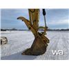 Image 33 : 2016 CATERPILLAR 323FL HYDRAULIC EXCAVATOR