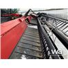 Image 20 : 2014 CASE IH WD1203 SERIES II 36 FT. SWATHER