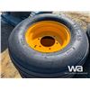 Image 3 : (UNUSED) (8) 12 PLY 11L-15 FARM TIRES & RIMS