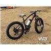 Image 3 : FAT TIRE ELECTRIC BIKE
