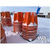 Image 2 : (2) PALLETS OF PIPELINE CONES