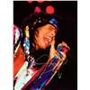 Image 1 : Steven Tyler signed photo
