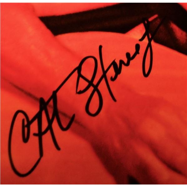 Cat Stevens signed Greatest Hits album insert poster