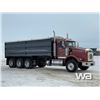 Image 2 : 2007 Kenworth T800 Tri Drive Grain Truck