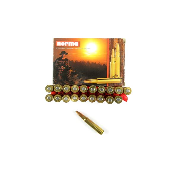 NORMA 7.65 ARG AMMO LOT