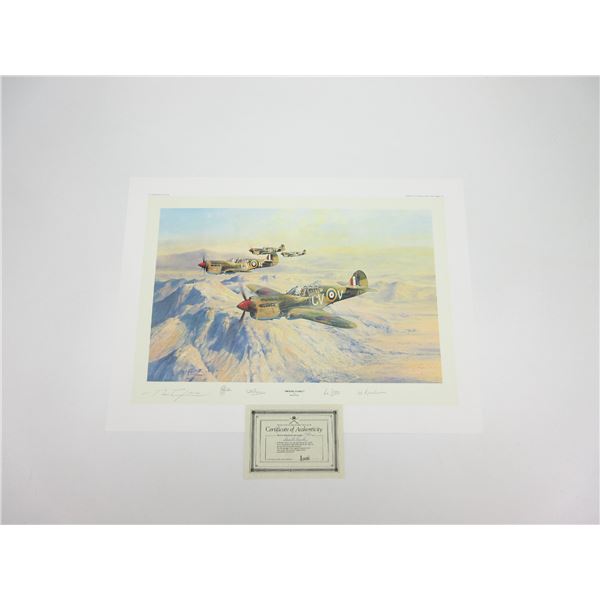 "DESERT HAWKS" PRINT