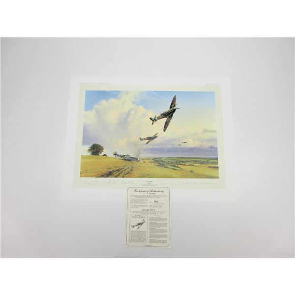 "EAGLES PREY" PRINT