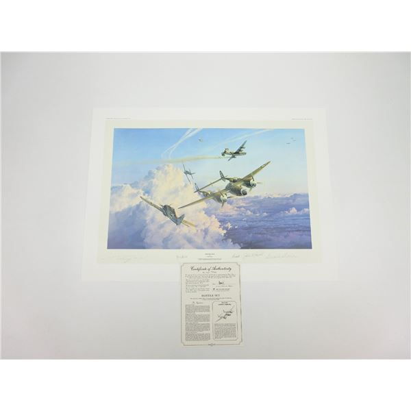 "HOSTILE SKY" PRINT