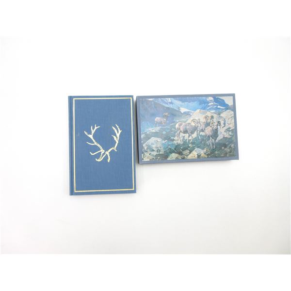 "SKYLINE PURSUITS" BOOK