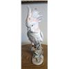 Image 2 : Royal Dux Czech Made Cockatoo Parrot Figurine