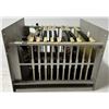 Image 2 : Cincinnati Milacron Rack with Boards