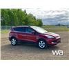 Image 2 : 2014 FORD ESCAPE SPORTS UTILITY VEHICLE