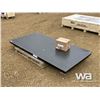 Image 1 : TMG 10 TON PLATFORM SCALE