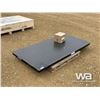Image 2 : TMG 10 TON PLATFORM SCALE