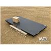 Image 3 : TMG 10 TON PLATFORM SCALE